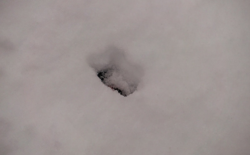 Illustration for article titled ORAT - GHE-O in the snow